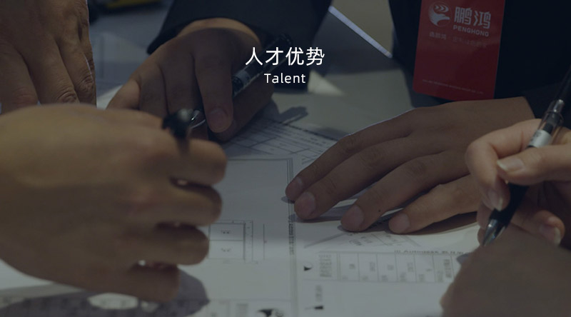 yp街机人才优势